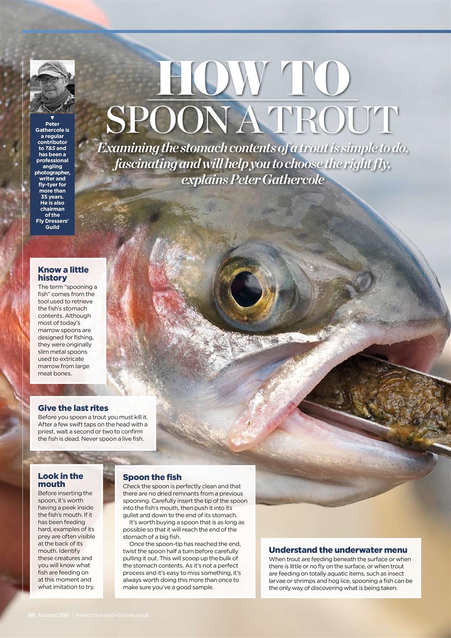 Trout & Salmon Preview Pages