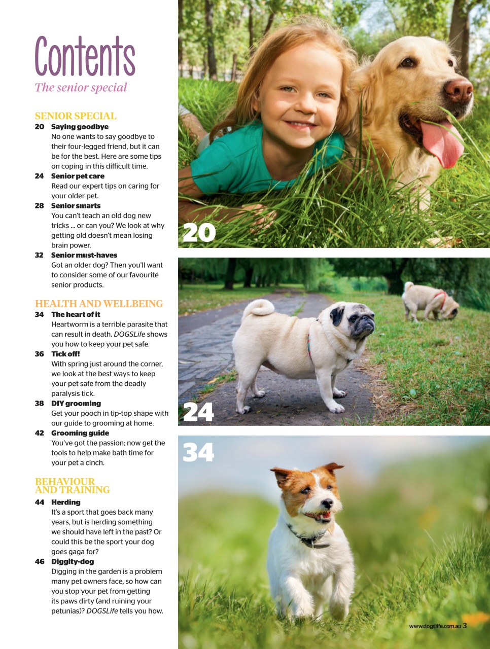 Dogs Life Preview Pages