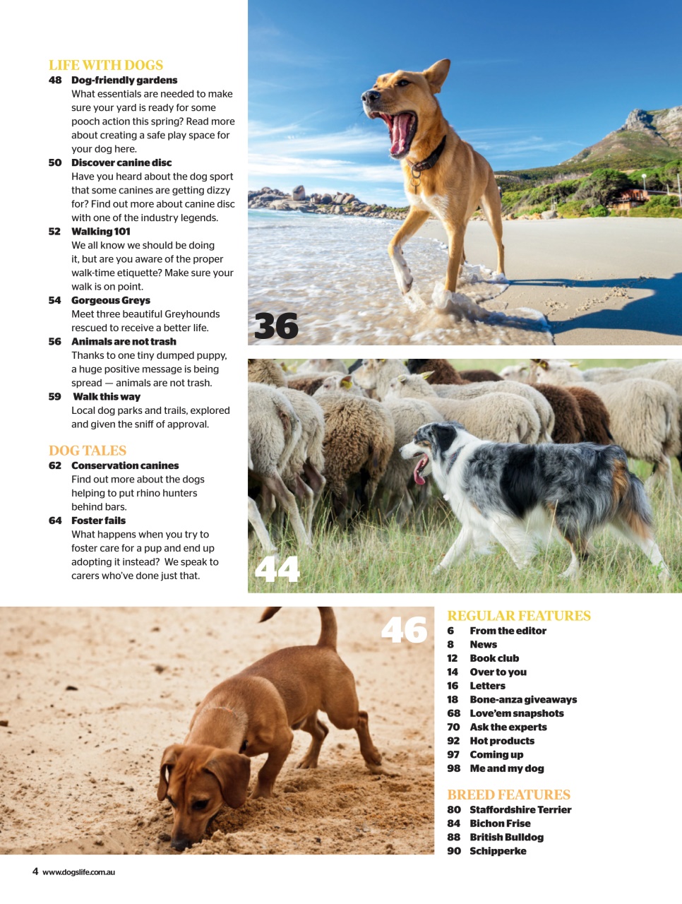 Dogs Life Preview Pages