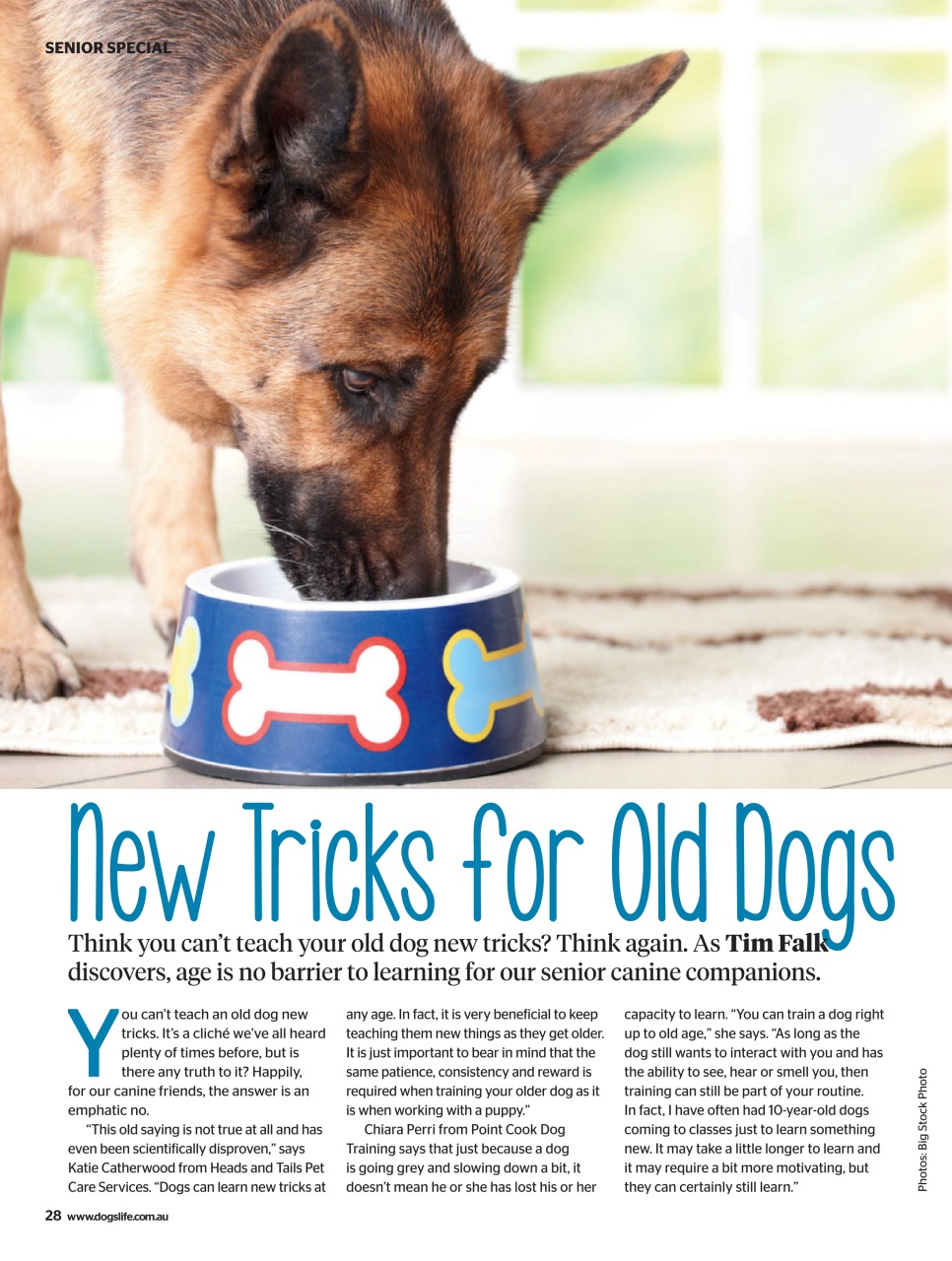 Dogs Life Preview Pages