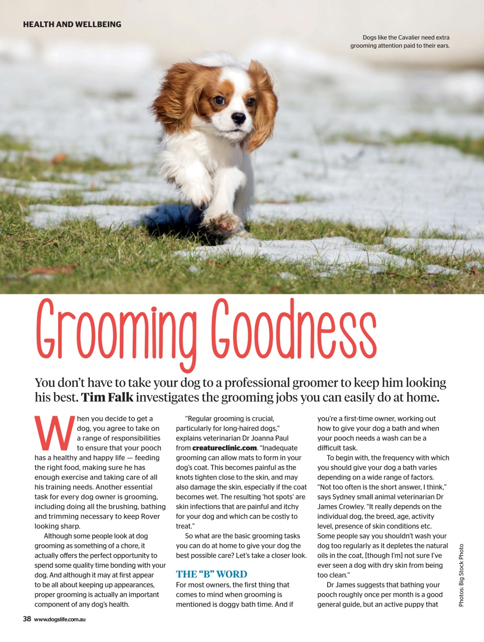 Dogs Life Preview Pages