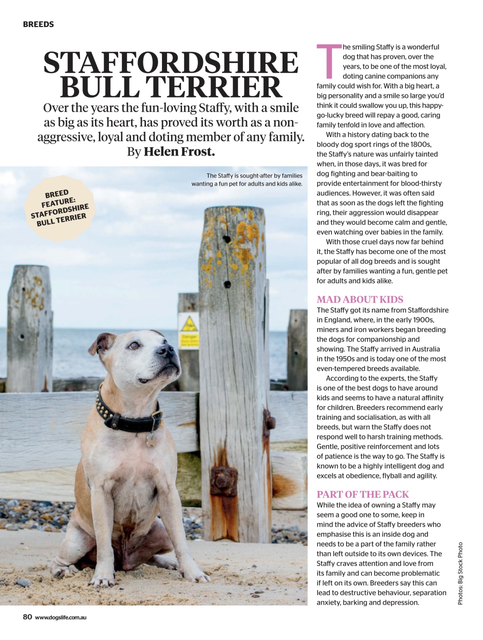 Dogs Life Preview Pages