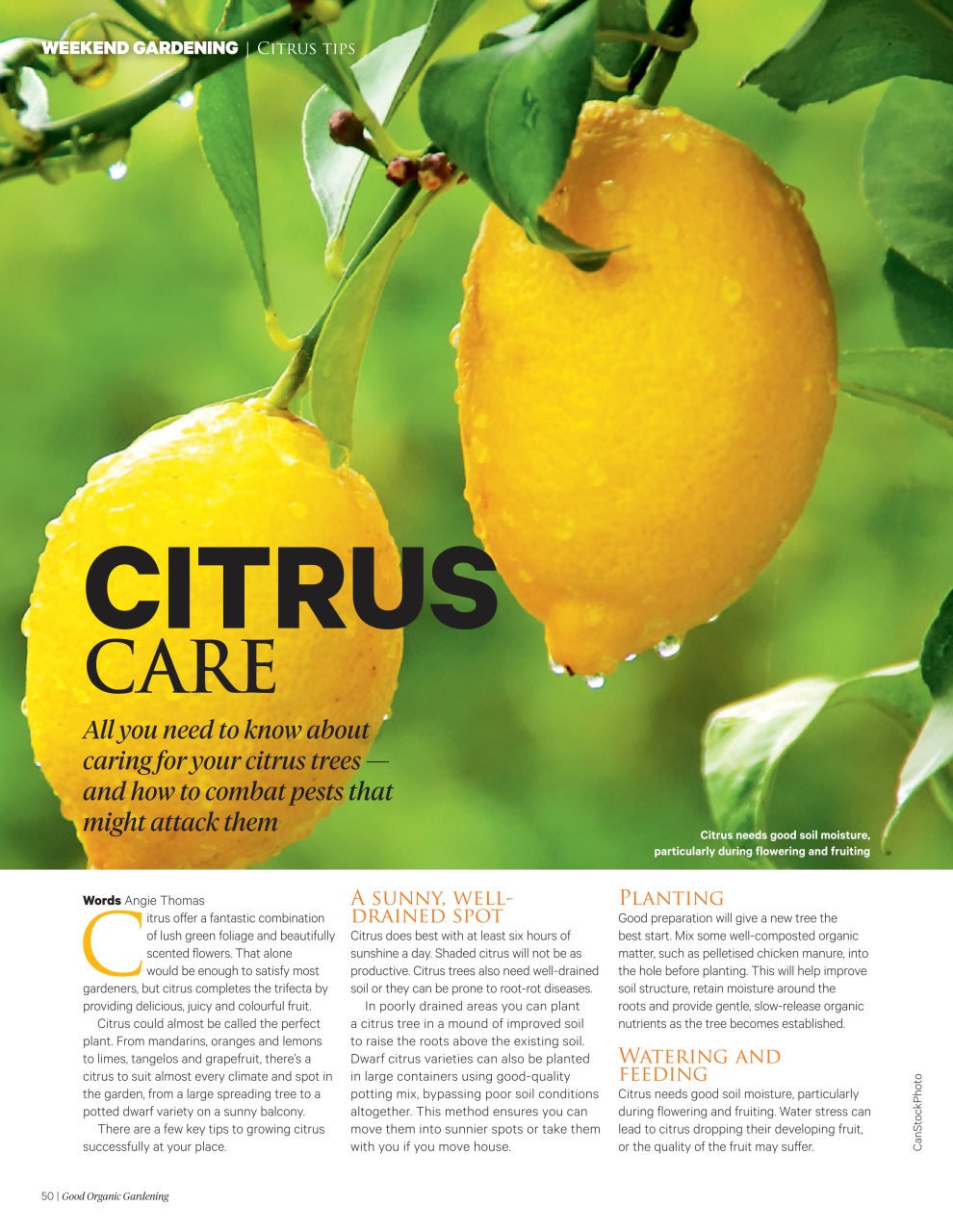 Good Organic Gardening Preview Pages
