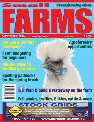 Small Farms issue 