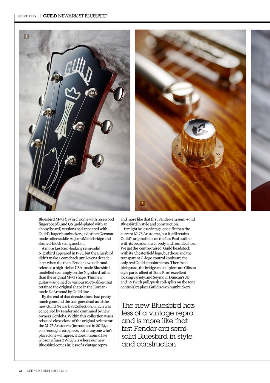 Guitarist Preview Pages