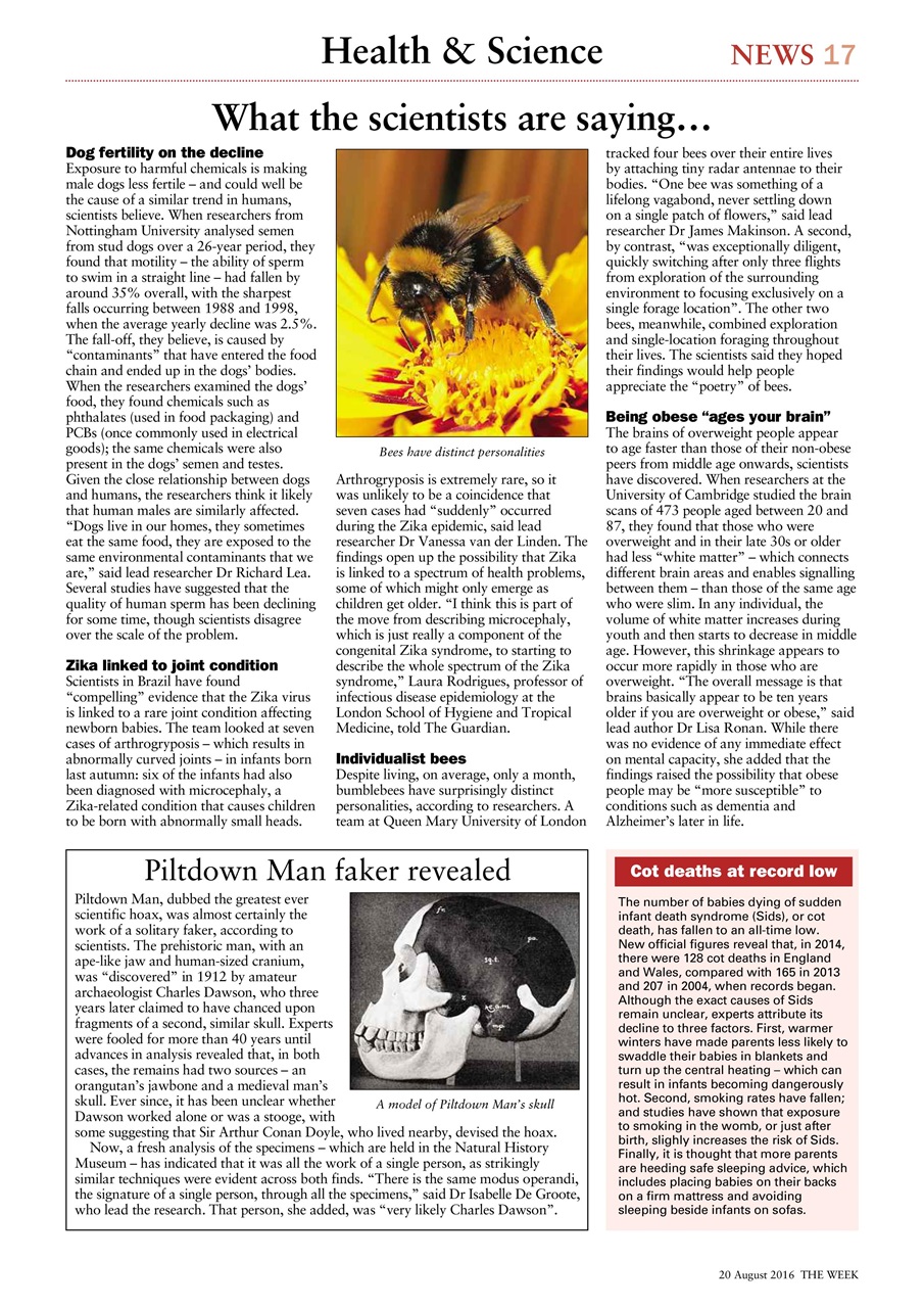 The Week Preview Pages