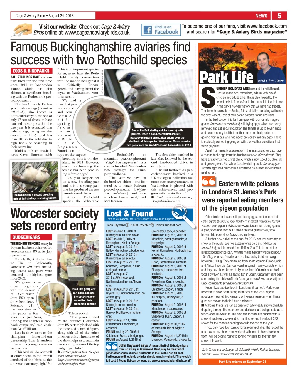 Cage & Aviary Birds Preview Pages