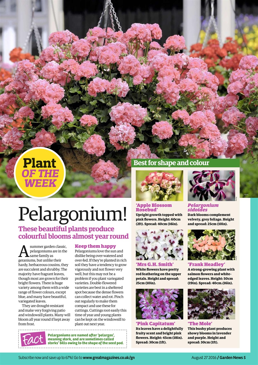 Garden News Preview Pages