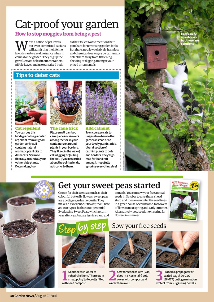 Garden News Preview Pages