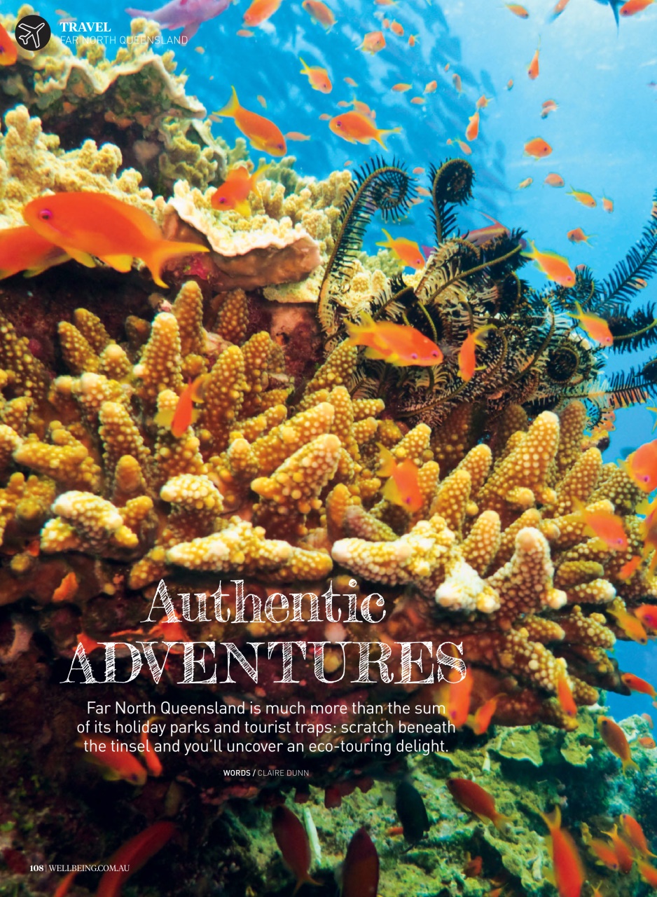 WellBeing Preview Pages