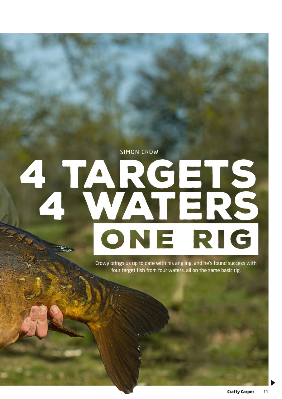 Crafty Carper Preview Pages