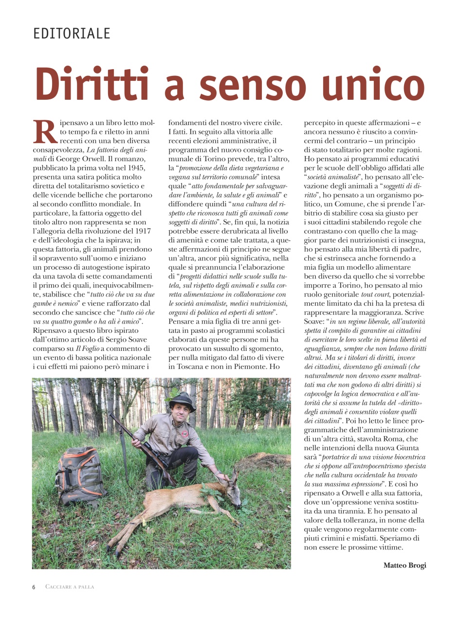 Caccia Magazine Preview Pages