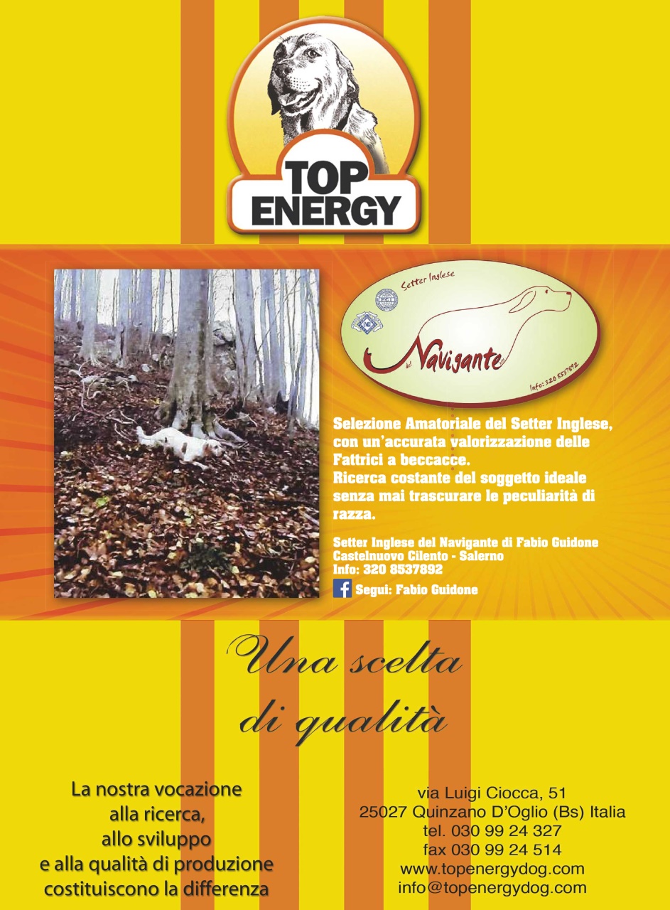La Gazzetta Della Cinofilia Venatoria Preview Pages