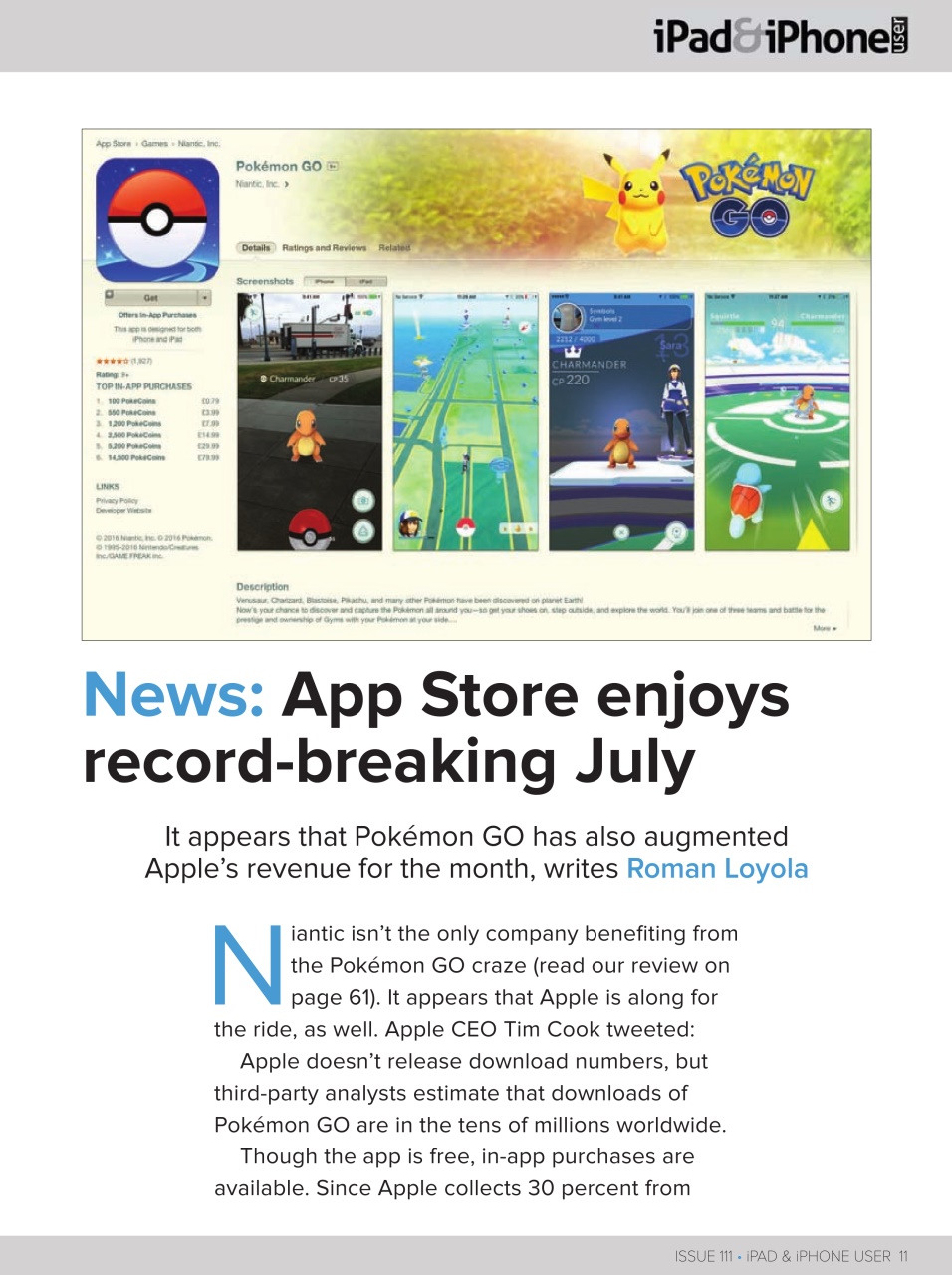 iPad and iPhone User Preview Pages