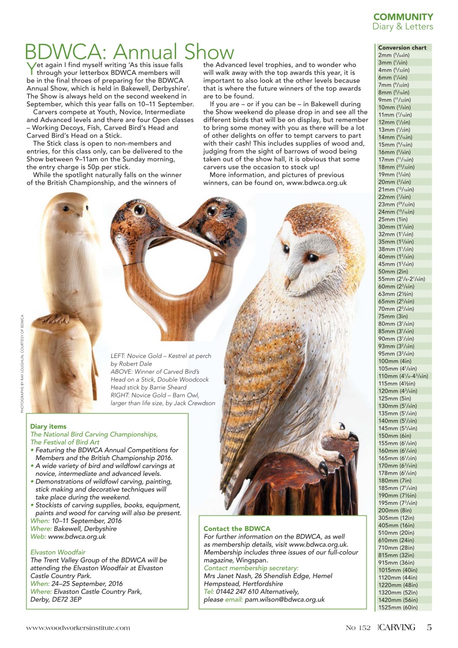 Woodcarving Preview Pages