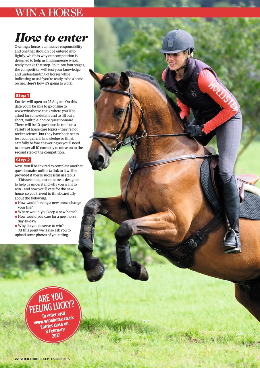 Your Horse Preview Pages