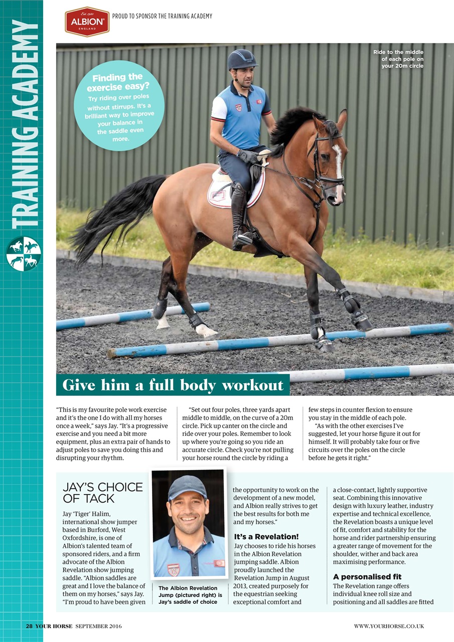 Your Horse Preview Pages