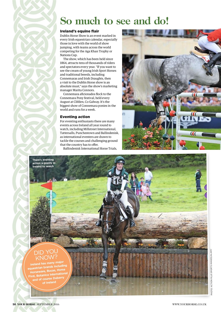 Your Horse Preview Pages