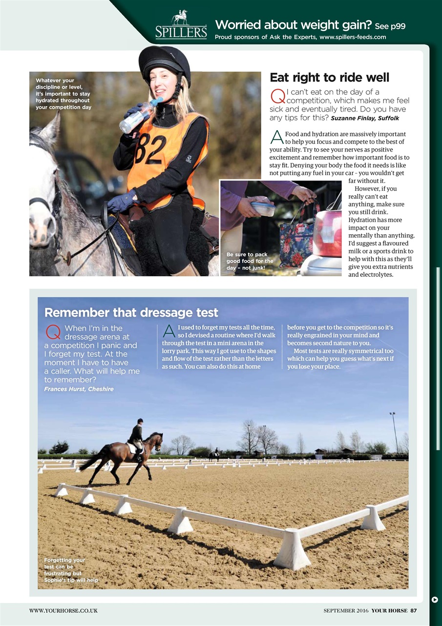 Your Horse Preview Pages