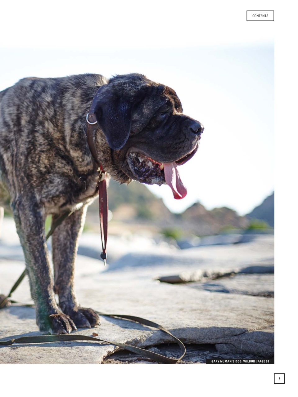 Electronic Sound Preview Pages