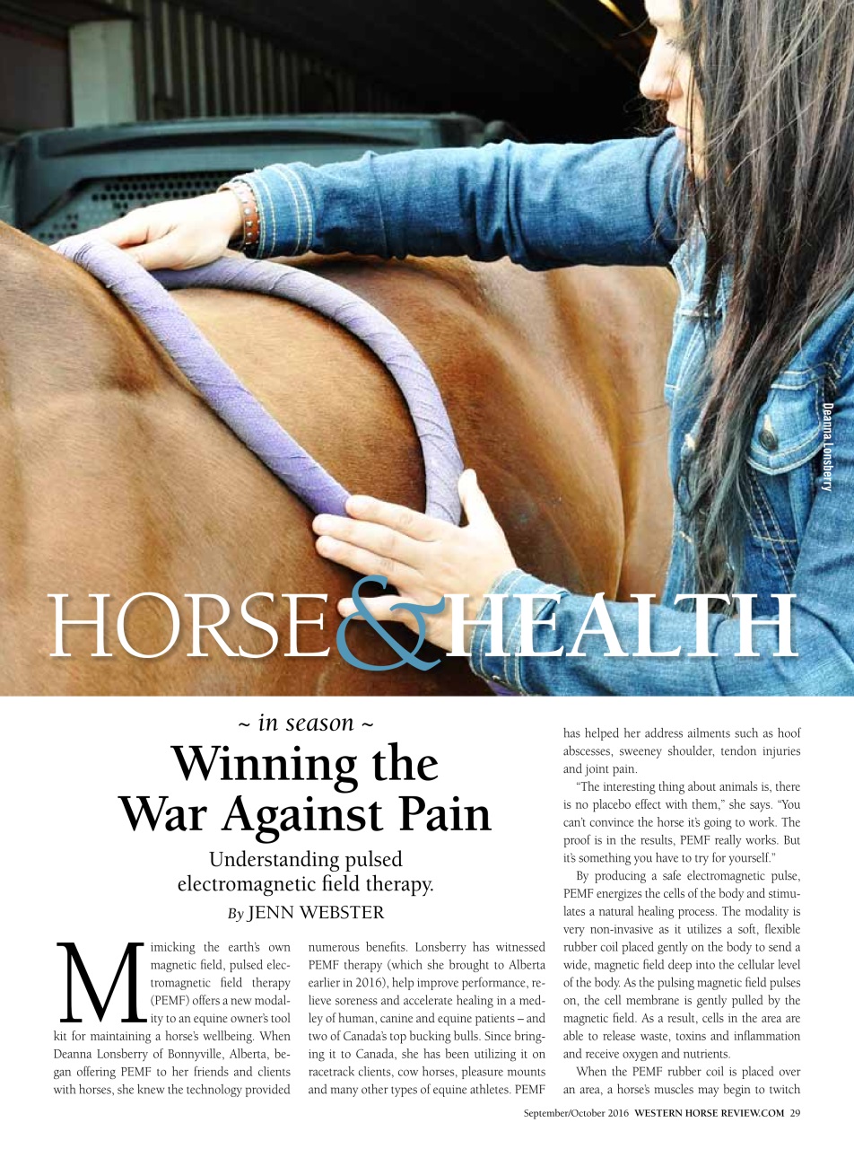 Western Horse Review Preview Pages