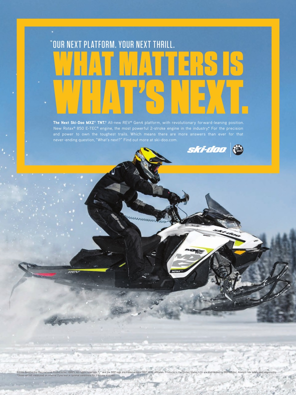 SnowGoer Preview Pages