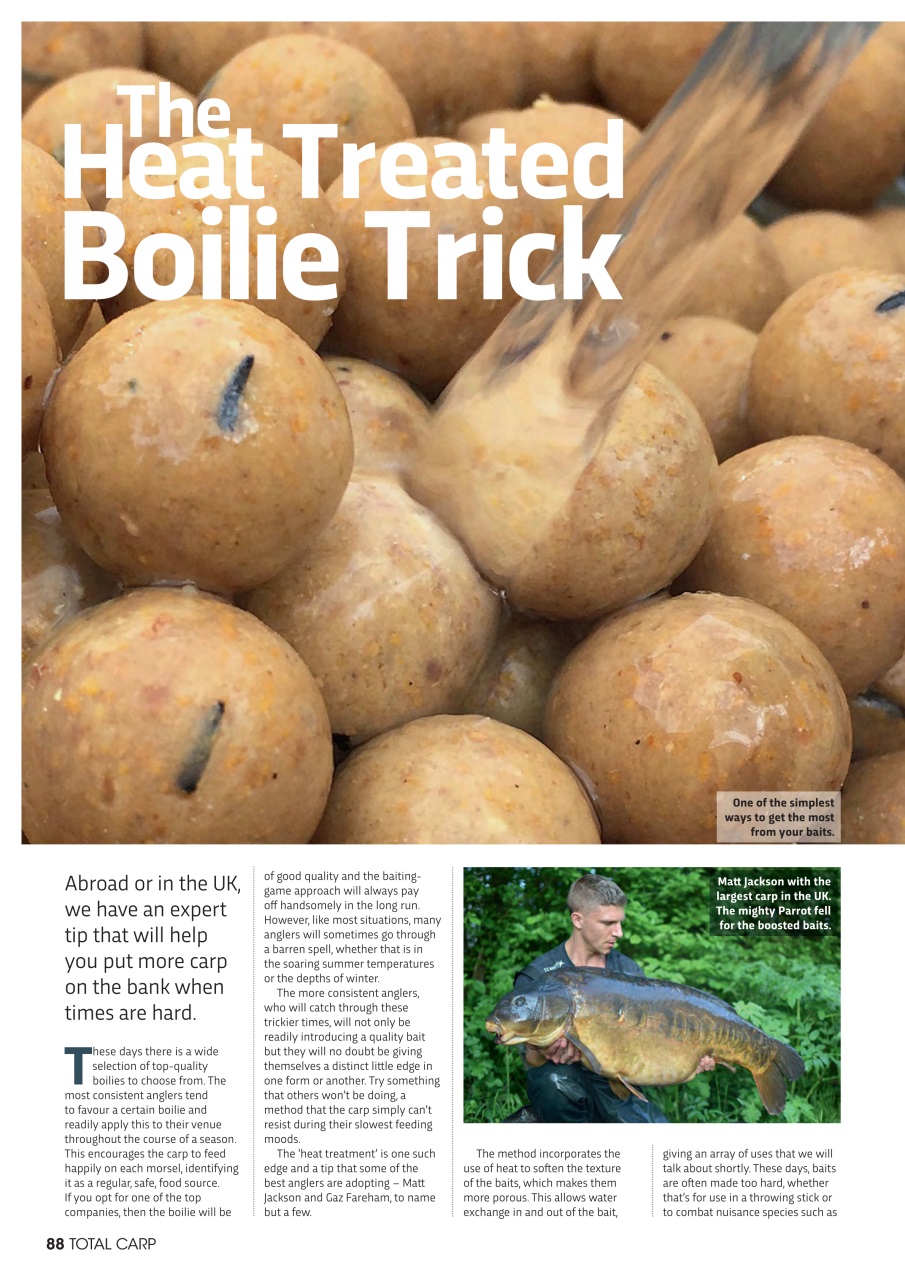 Total Carp Preview Pages