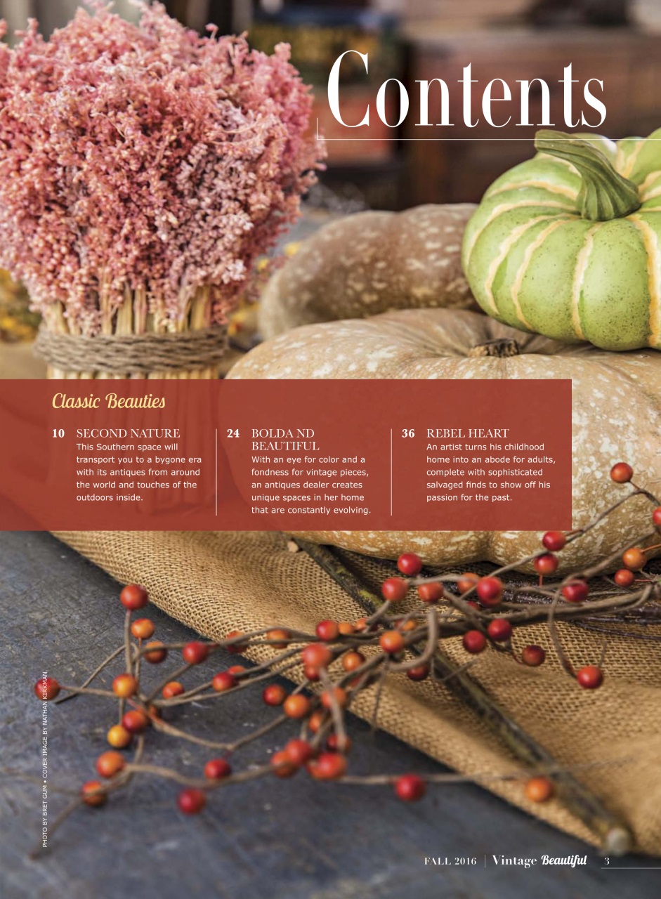 Victorian Homes Preview Pages