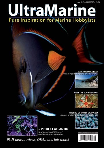 UltraMarine Magazine issue 
