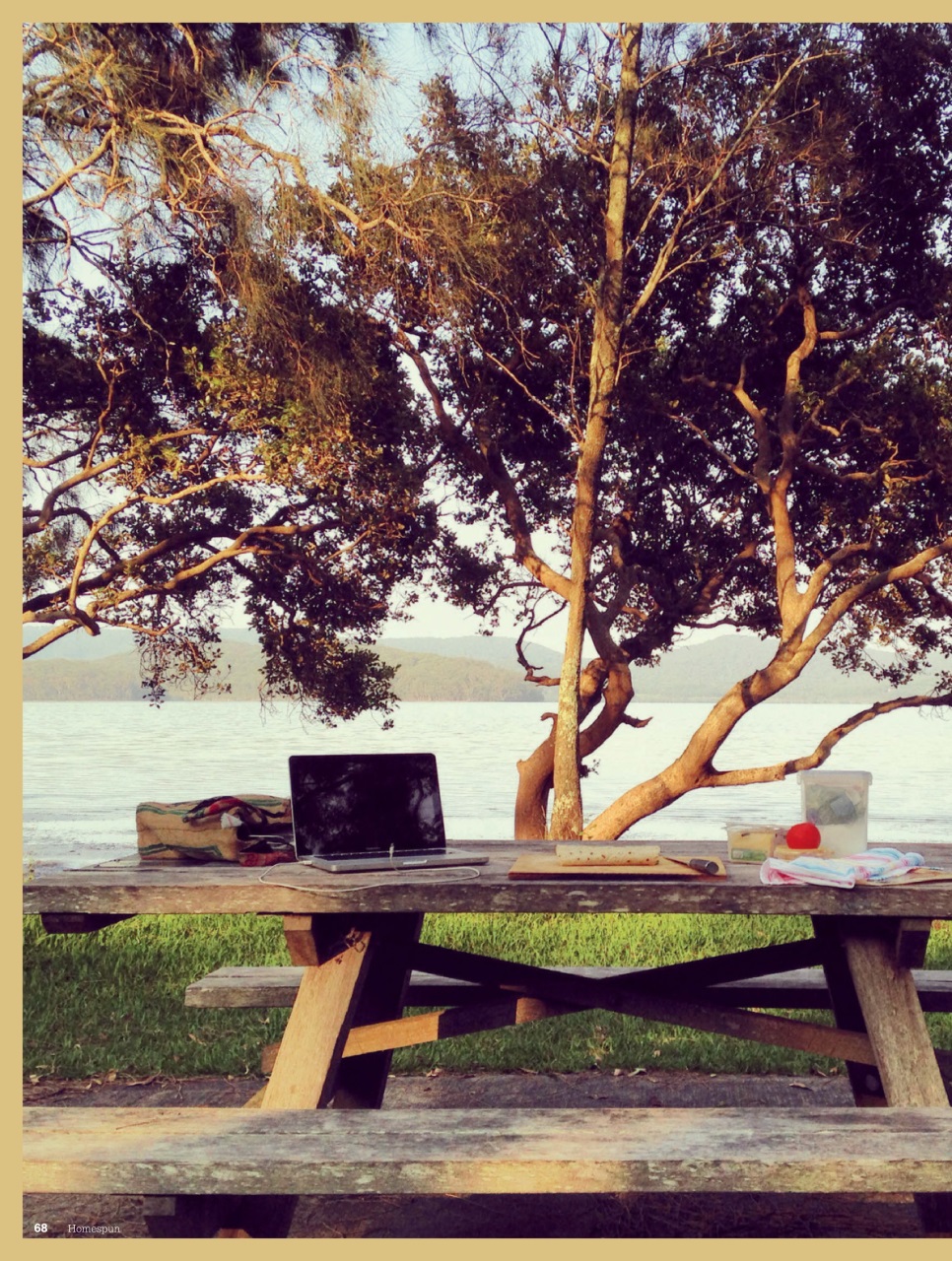 Homespun Preview Pages