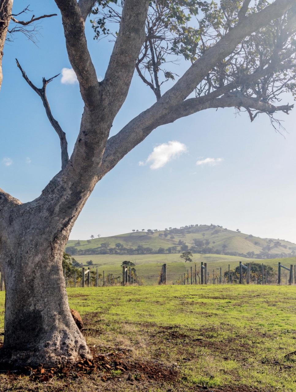 Australian Country Preview Pages