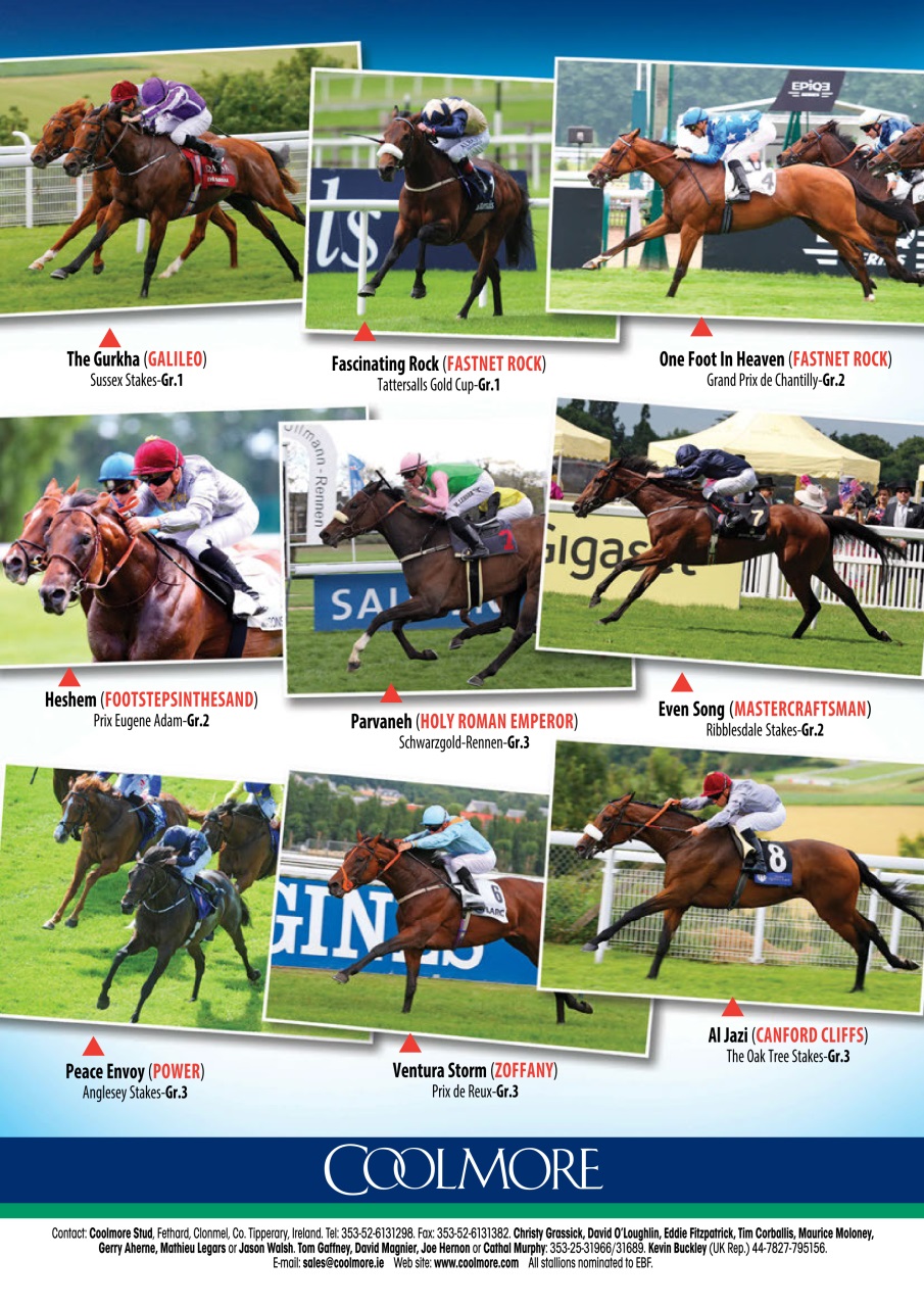 The Owner Breeder Preview Pages