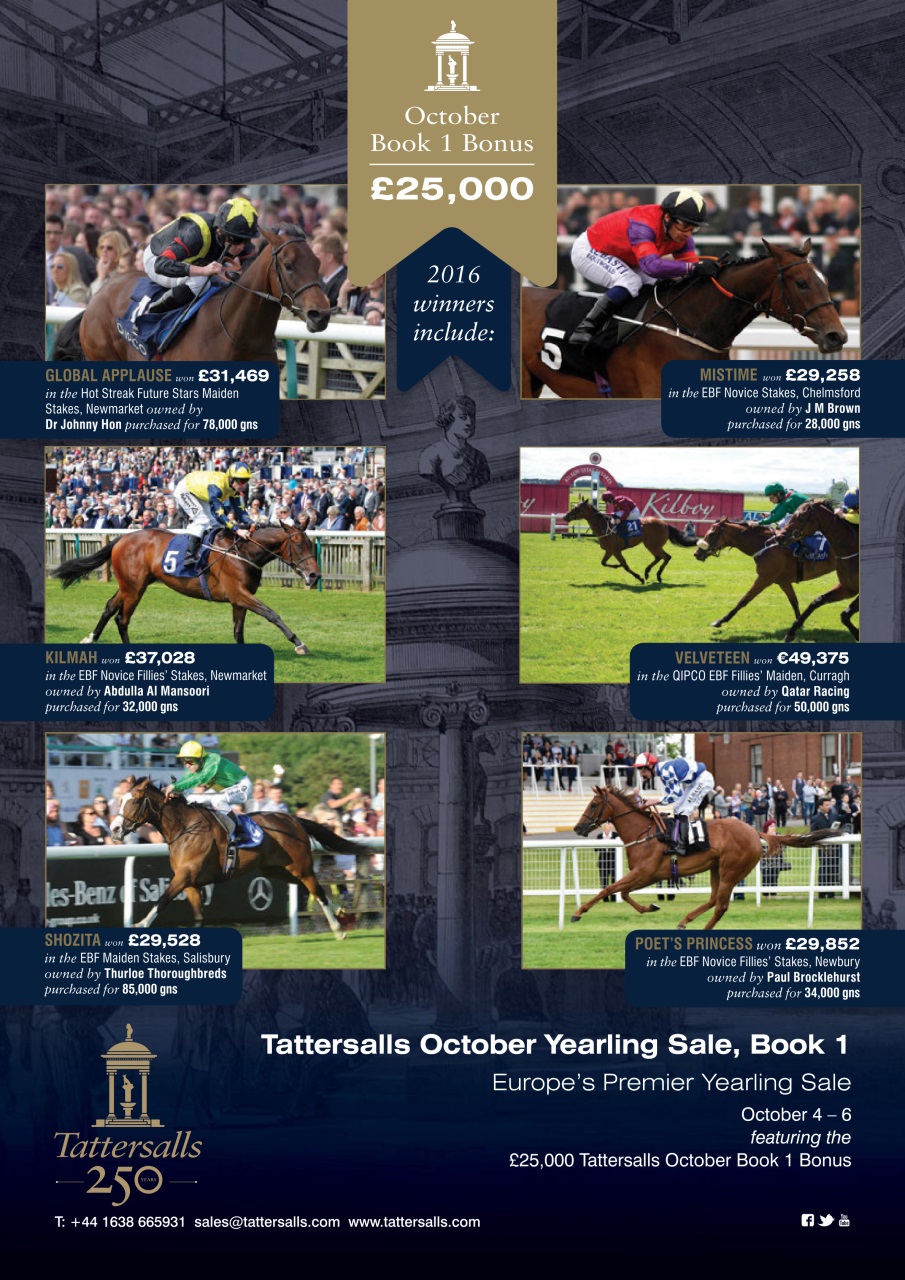 The Owner Breeder Preview Pages