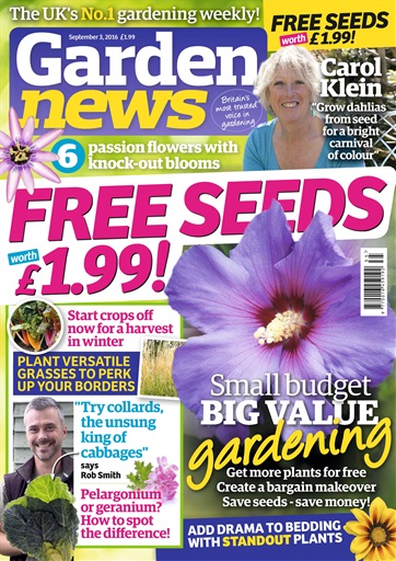 Garden News issue 