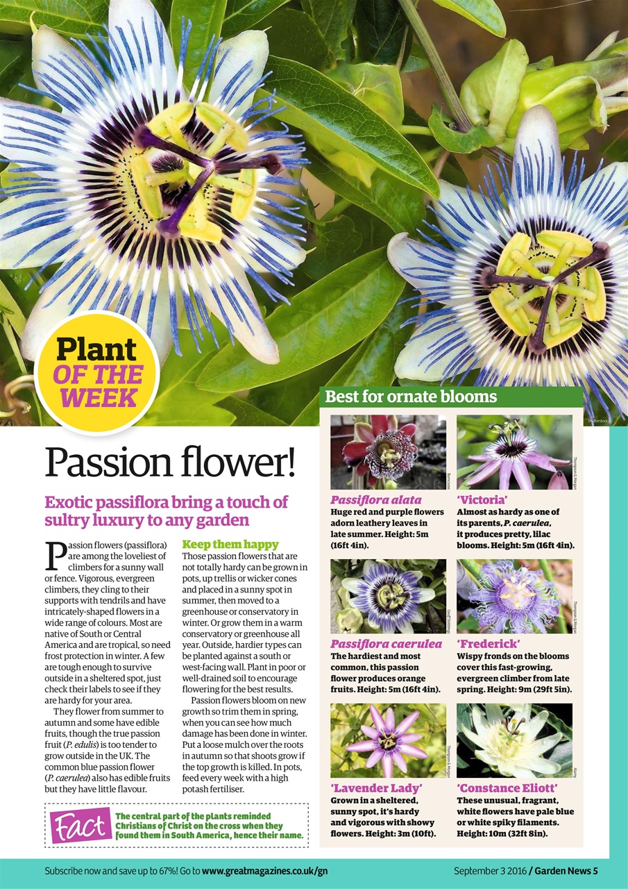Garden News Preview Pages