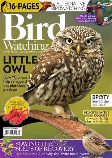 Bird Watching issue 