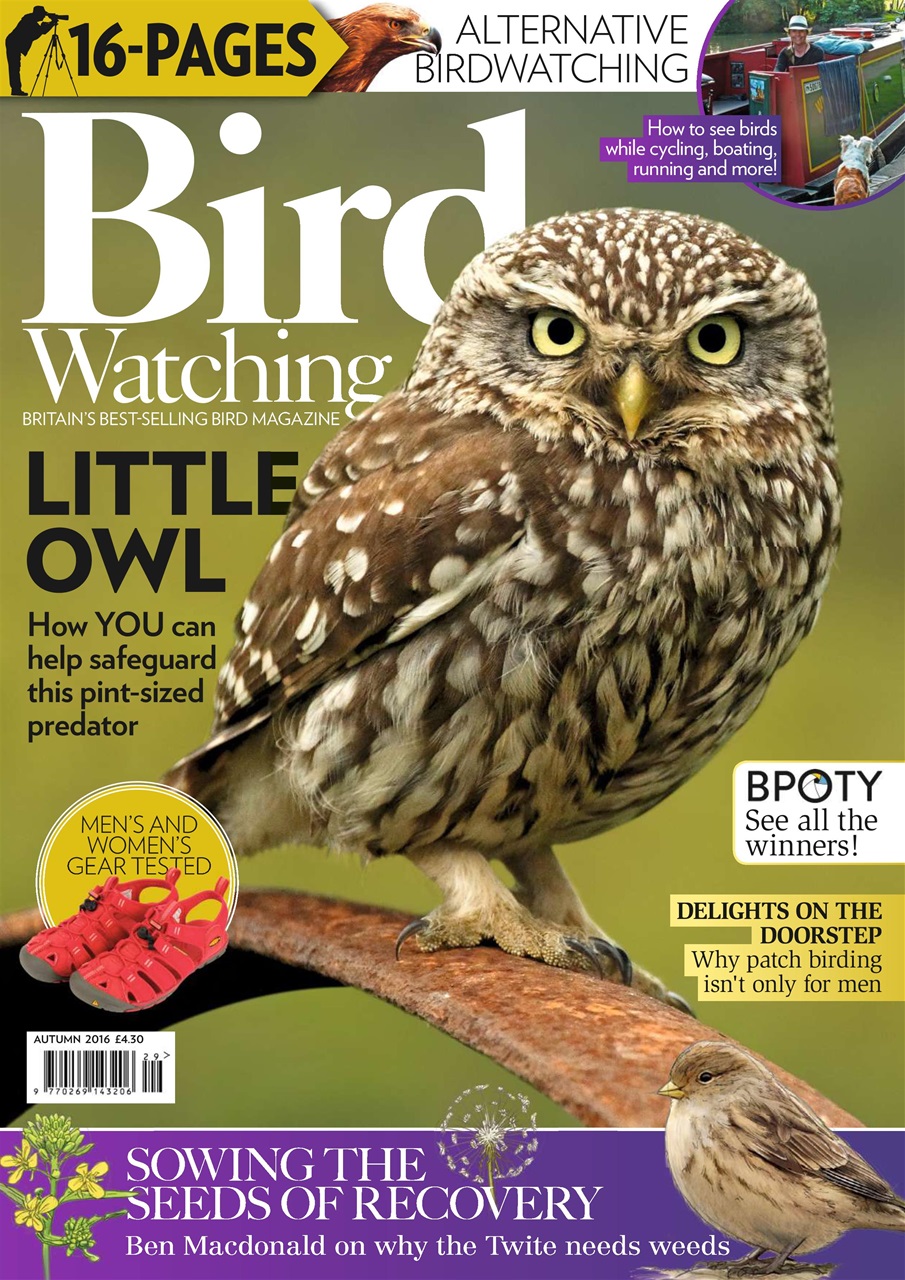 Bird Watching Preview Pages
