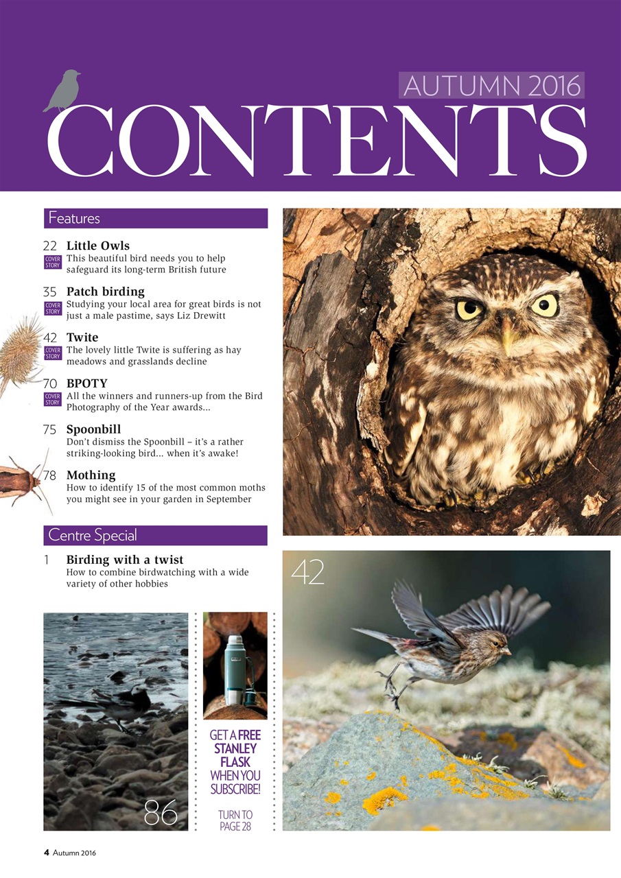 Bird Watching Preview Pages