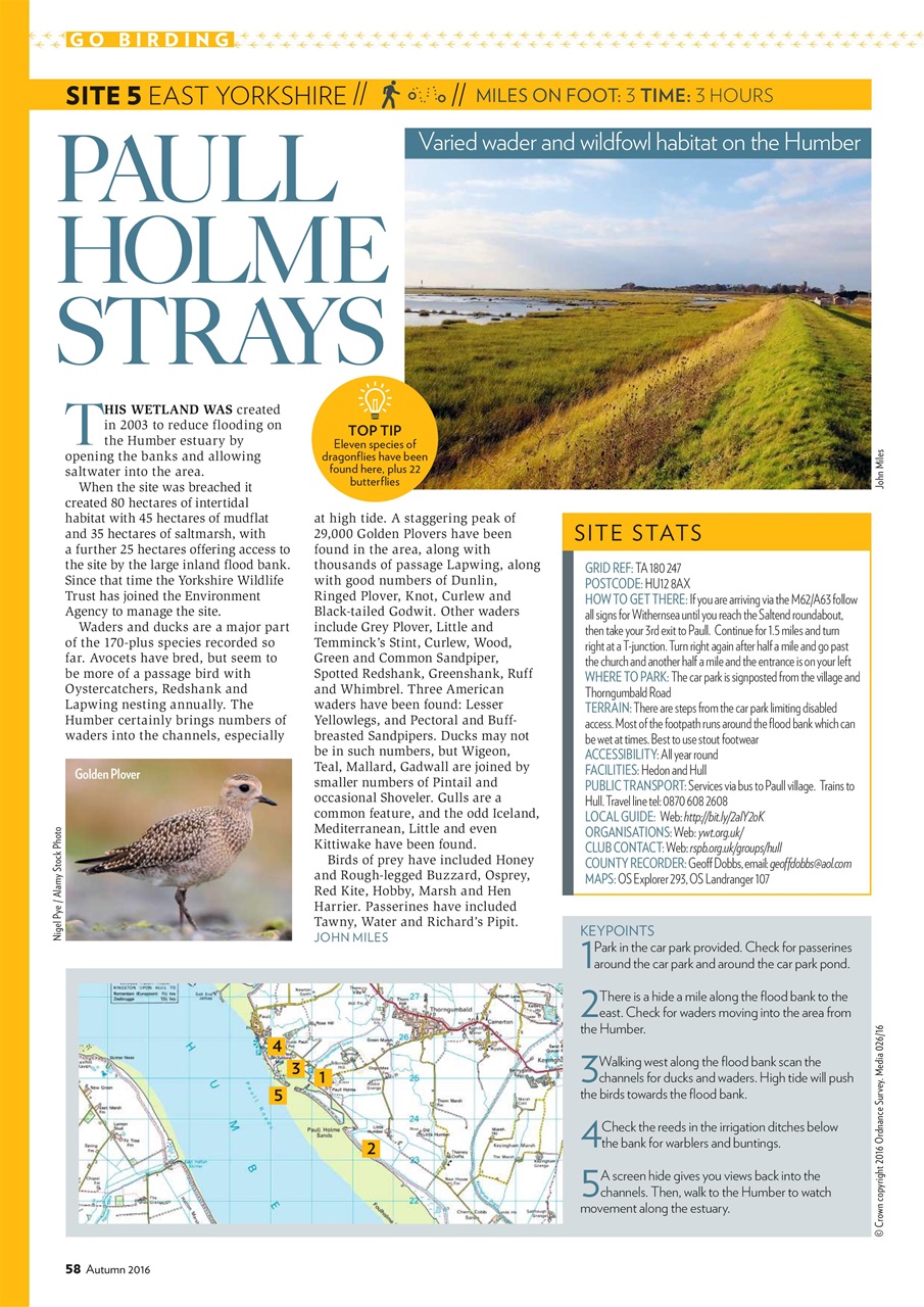 Bird Watching Preview Pages