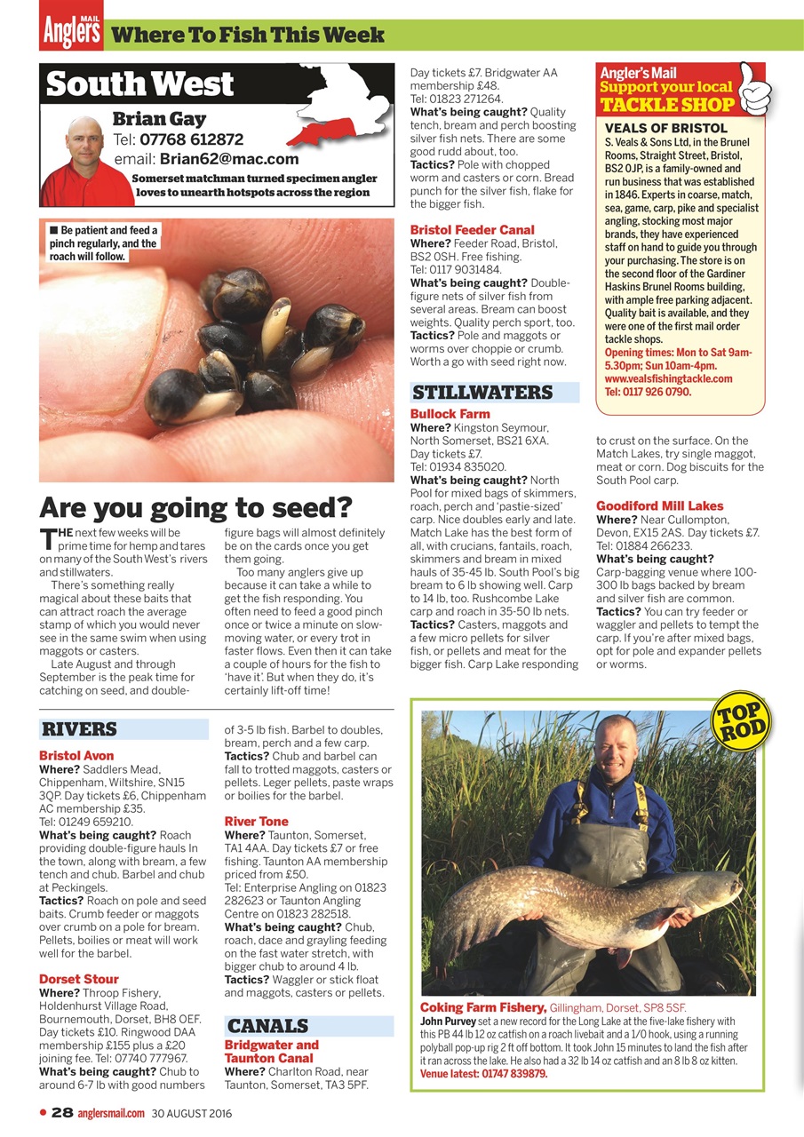 Anglers Mail Preview Pages