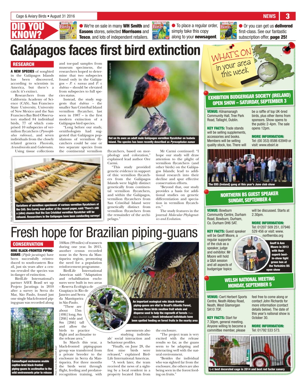 Cage & Aviary Birds Preview Pages