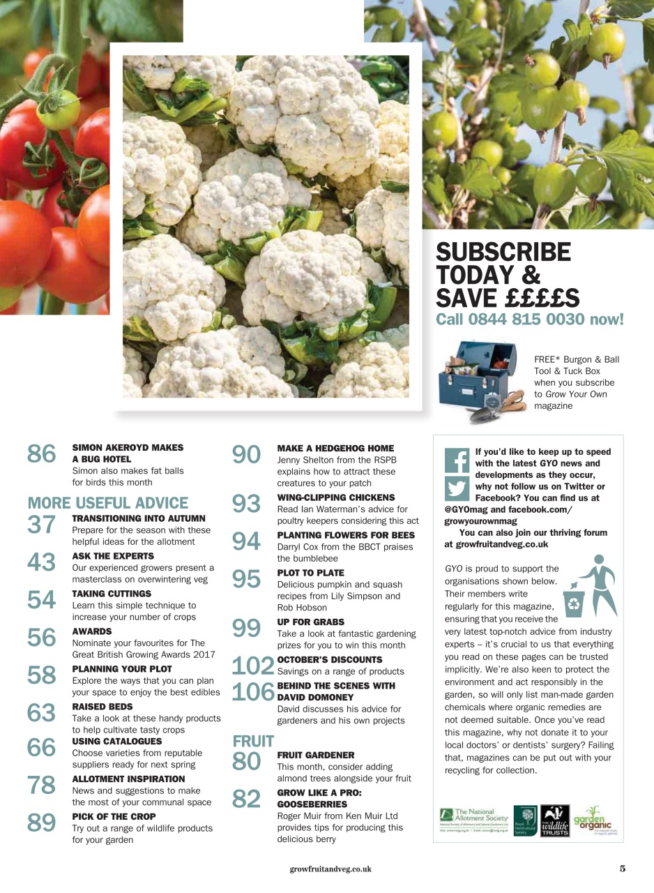 Grow Your Own Preview Pages