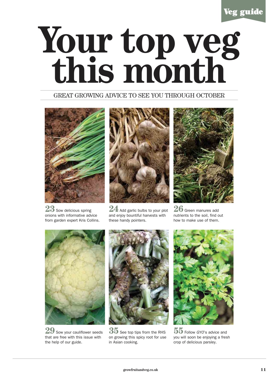 Grow Your Own Preview Pages