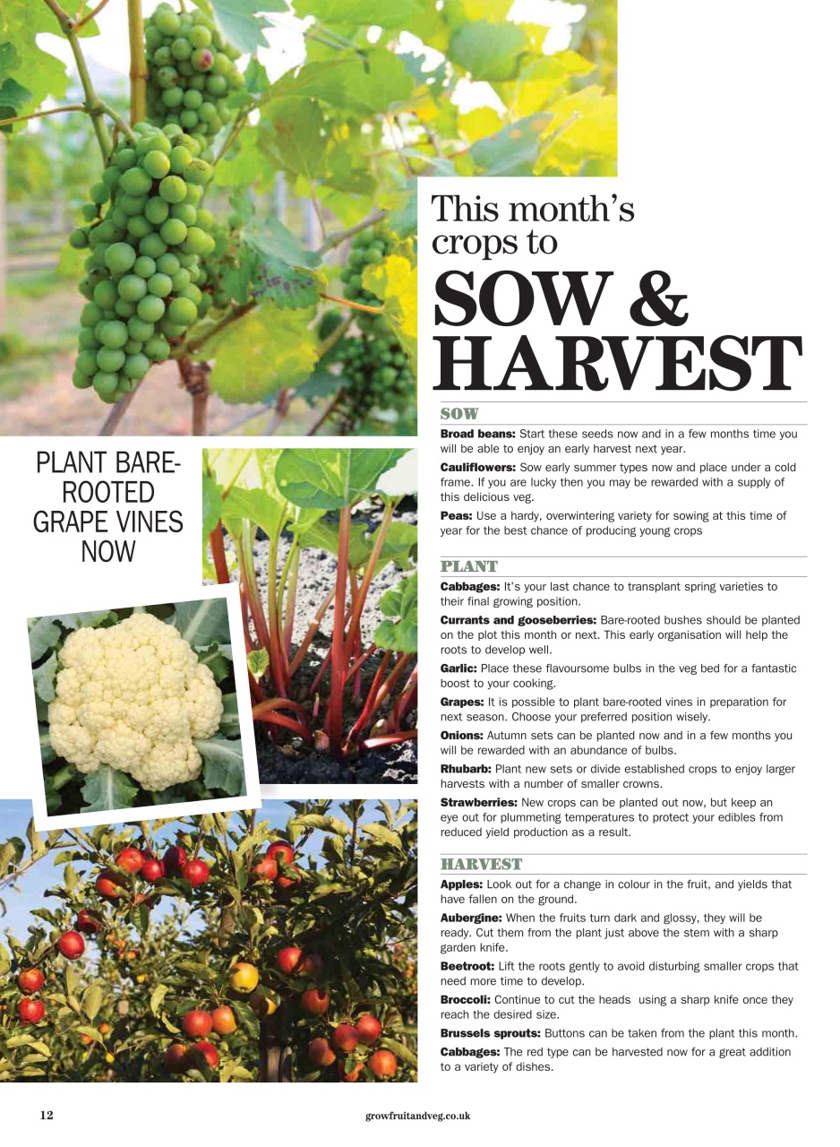 Grow Your Own Preview Pages