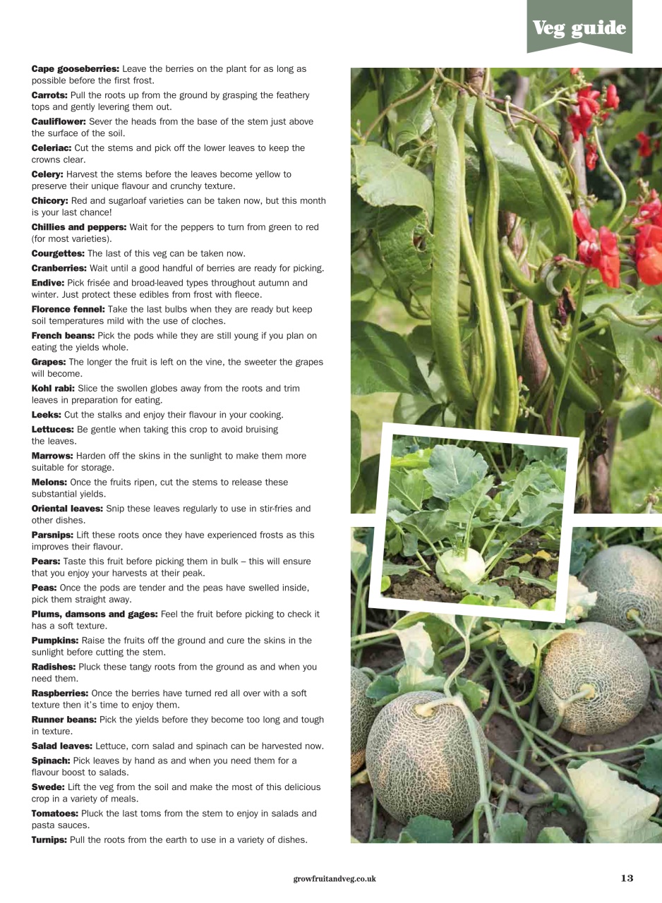 Grow Your Own Preview Pages