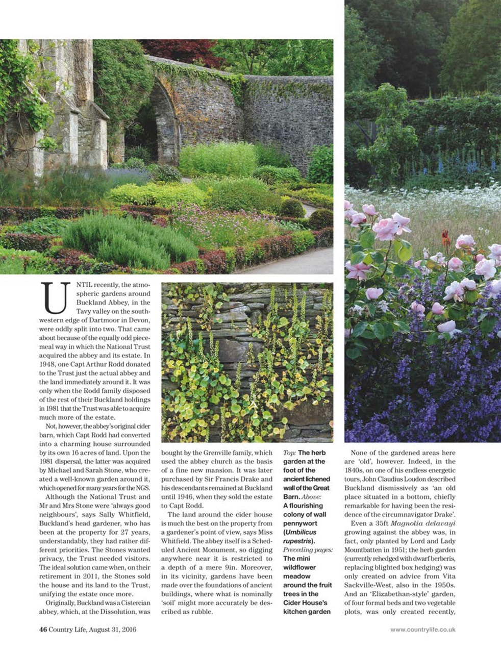 Country Life Preview Pages