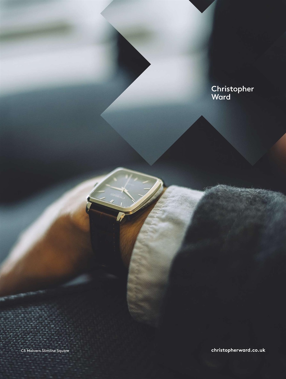 BBC Wildlife Magazine Preview Pages