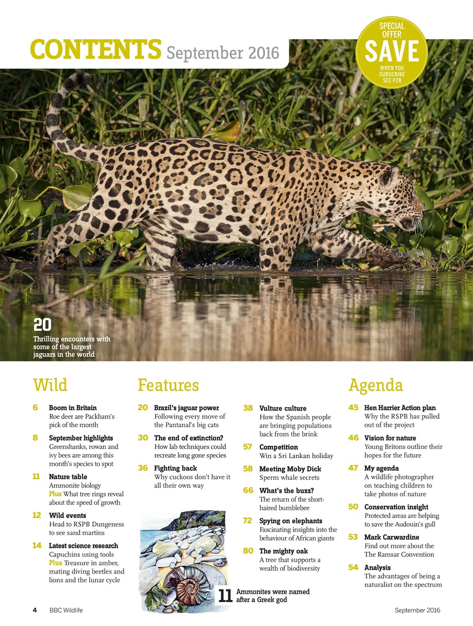 BBC Wildlife Magazine Preview Pages