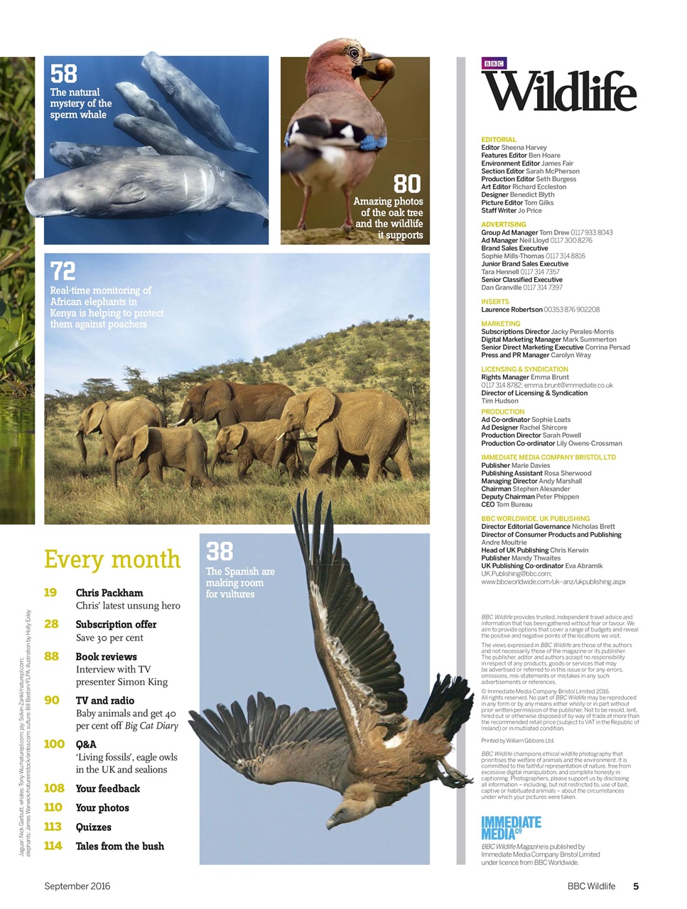 BBC Wildlife Magazine Preview Pages