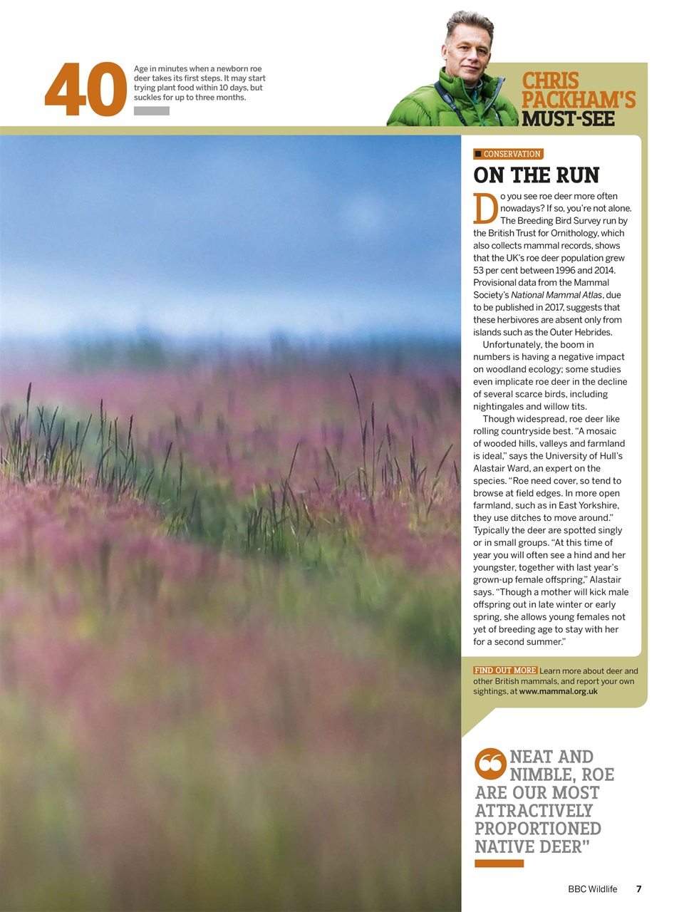 BBC Wildlife Magazine Preview Pages
